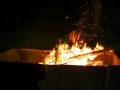 Voerden25.2017 (244 von 149)