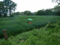 DSCN2548