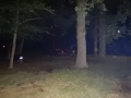 DSCN2674