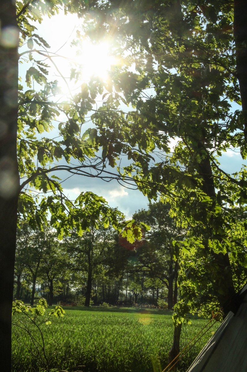 Voerden25.Sa.2017 (266 von 360)