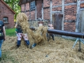 Voerden25.Sa.2017 (305 von 360)