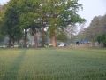 DSC01701